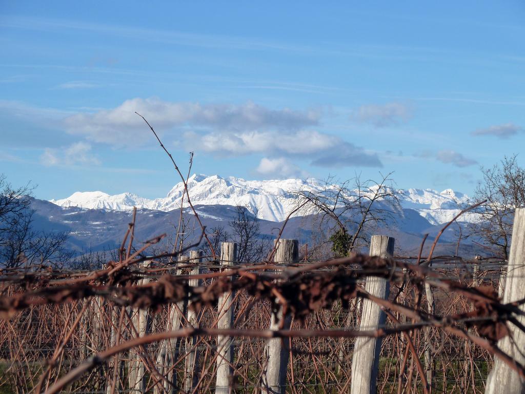 Tenuta Perusini Corno di Rosazzo Exteriör bild